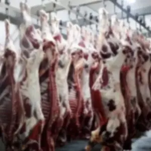 Frozen Beef Carcass