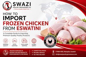How to Import Halal Frozen Chicken